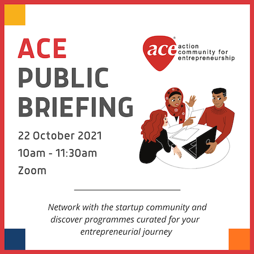 ACE Public Briefing.png